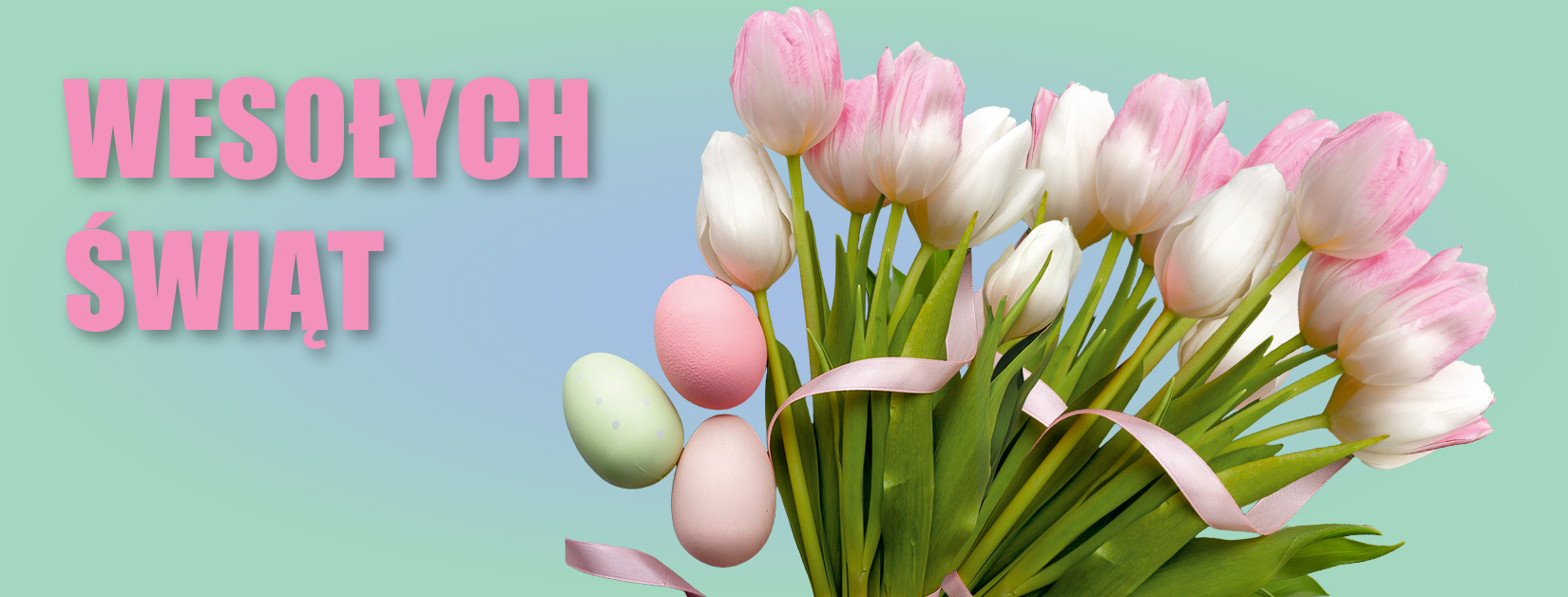 www_1650x628_KENwiosna